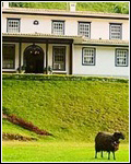 Pousada Fazenda das Videiras